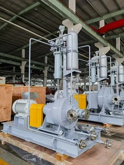 Petrochemical Industry Hydrocarbon Liquid Transportation Sewage Slurry Pitot Pump With Low Price price